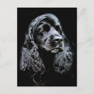 Postal Cocker Spaniel negro