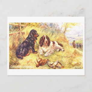 Postal Cocker Spaniels Antiguos