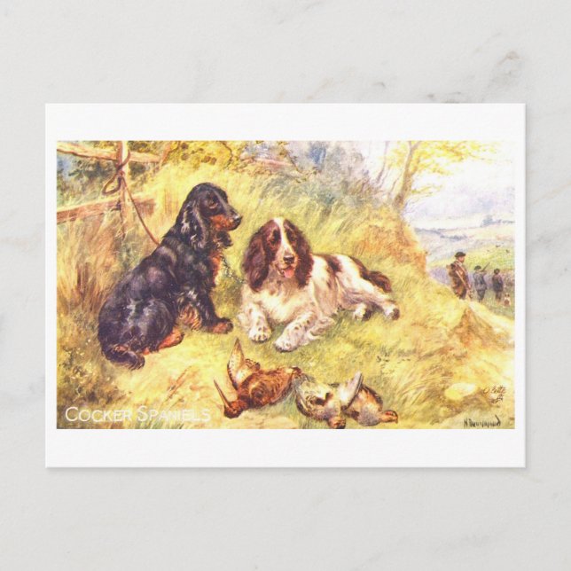 Postal Cocker Spaniels Antiguos (Anverso)