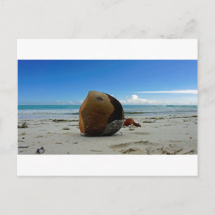 Postal coco caribeño