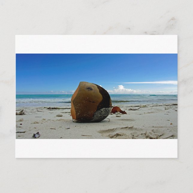Postal coco caribeño (Anverso)