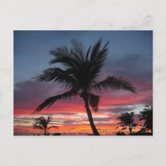 Postal Coco, de Guilian Buhl