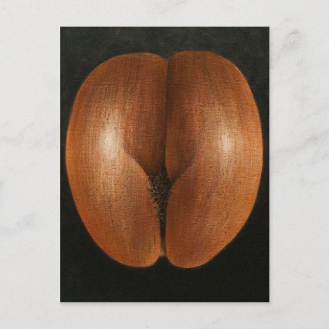 Postal Coco de Mer 2010 (Anverso)