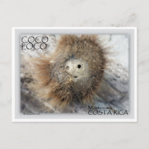 POSTAL COCO LOCO NUT