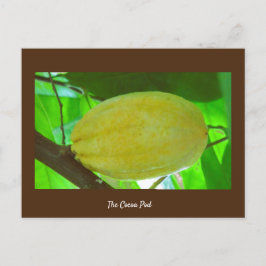 Postal Cocoa Pod
