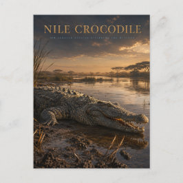 Postal Cocodrilo del Nilo Río Africano ANIMALES