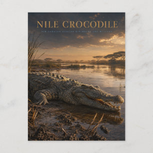 Postal Cocodrilo del Nilo Río Africano ANIMALES