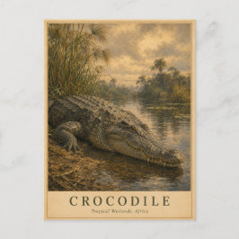 Postal Cocodrilo Humedales Africanos VINTAGE