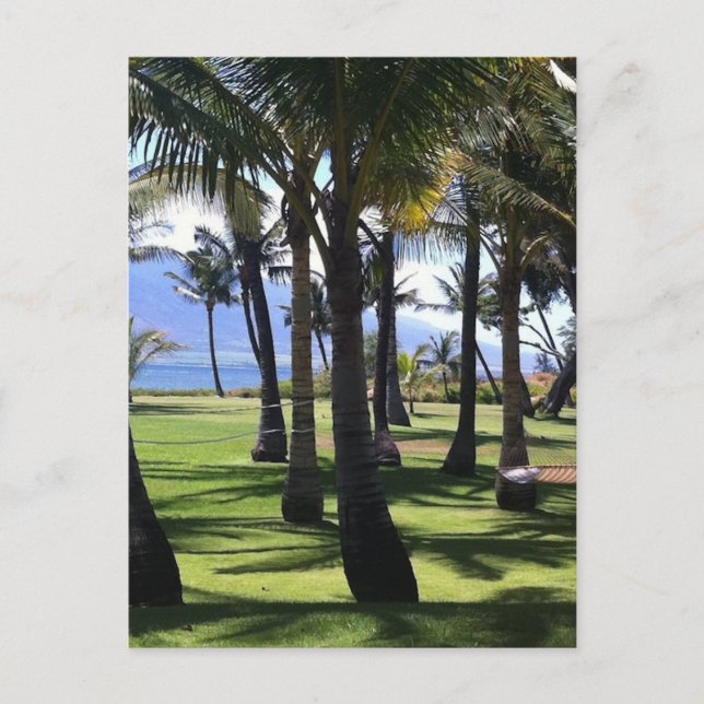 Postal Coconut Palms Nui Hawaii (Anverso)