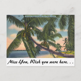 Postal Coconut Palms on South East Florida Coast