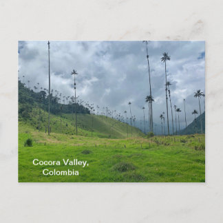 Postal Cocora Valley, Colombia Postcard