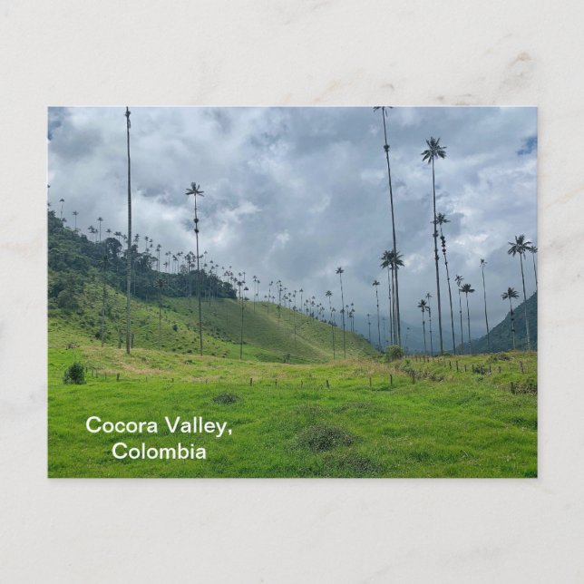 Postal Cocora Valley, Colombia Postcard (Anverso)