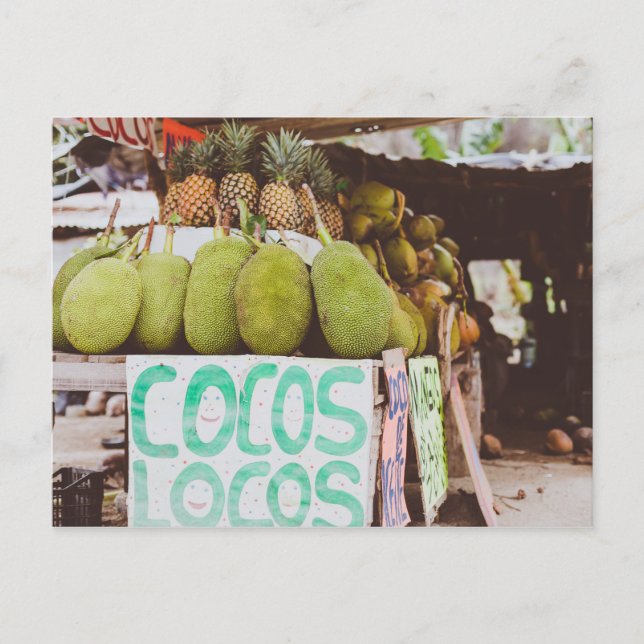 Postal Cocos Locos (Anverso)