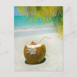 Postal Cocotero tropical en una playa del Caribe