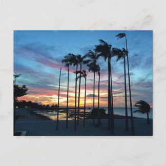 Postal Cocoteros en la playa