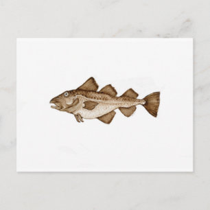 Postal Cod 1 brown286.jpg