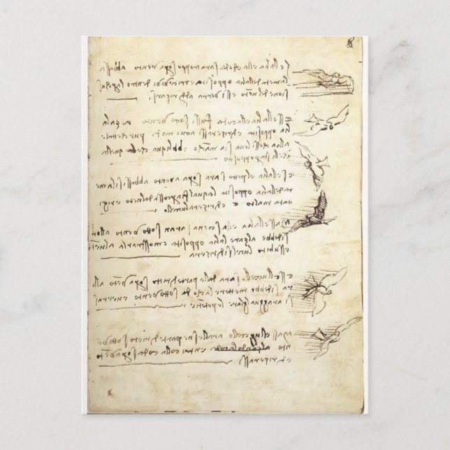 Postal Codex sobre el vuelo de aves de Leonardo da Vinci (Anverso)