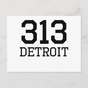 Postal Código de área de detención 313
