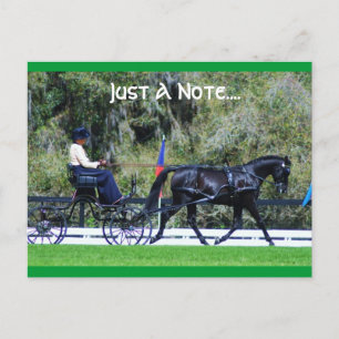 Postal código de roble vivo