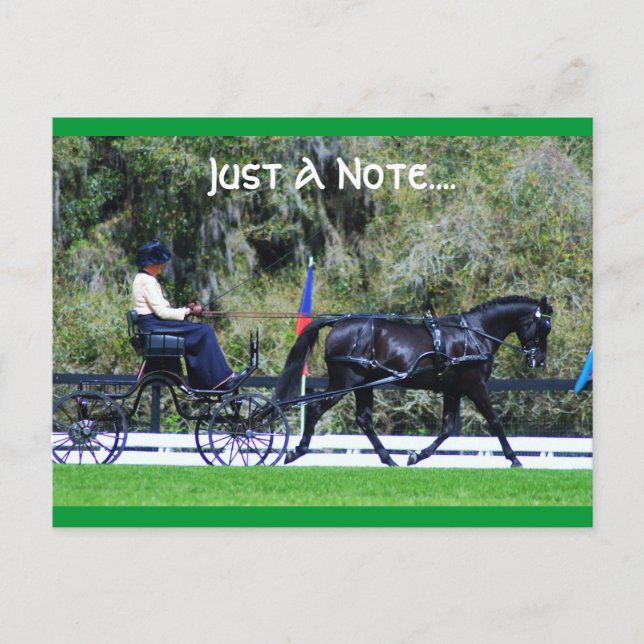 Postal código de roble vivo (Anverso)