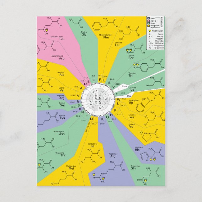 Postal Código genético posttarjeta aminoácidos codones  (Anverso)