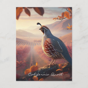 Postal Codorniz de acuarela original de California. Bird