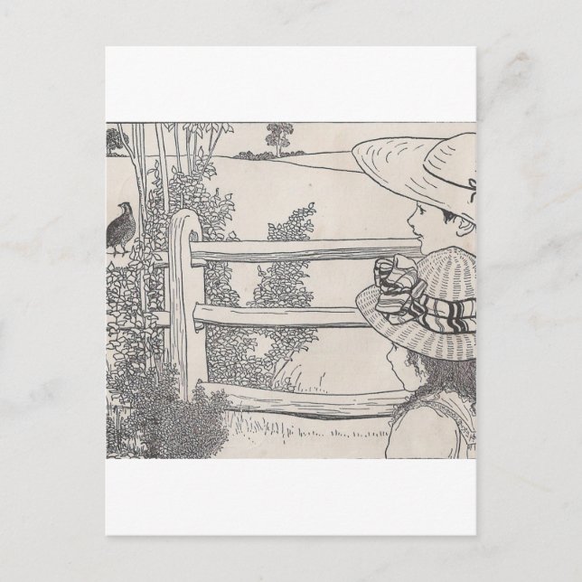 Postal Codorniz en un riel (Anverso)