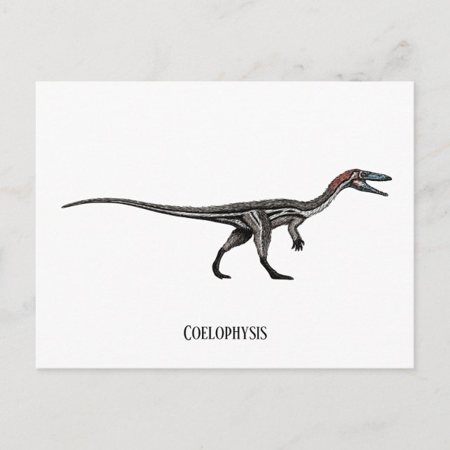 Postal Coelophysis dinosaur (Anverso)