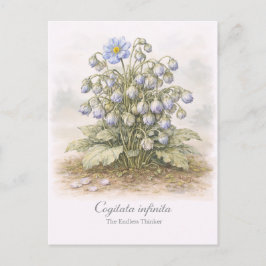Postal Cogitata infinita - El Pensador Interminable Botán