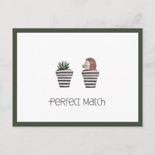 Postal Coincidencia Perfecta   Erizo Lindo & Amor de Cact