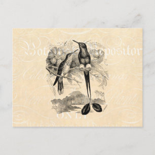 Postal Cojín de raquetas de cola de raqueta vintage de lo