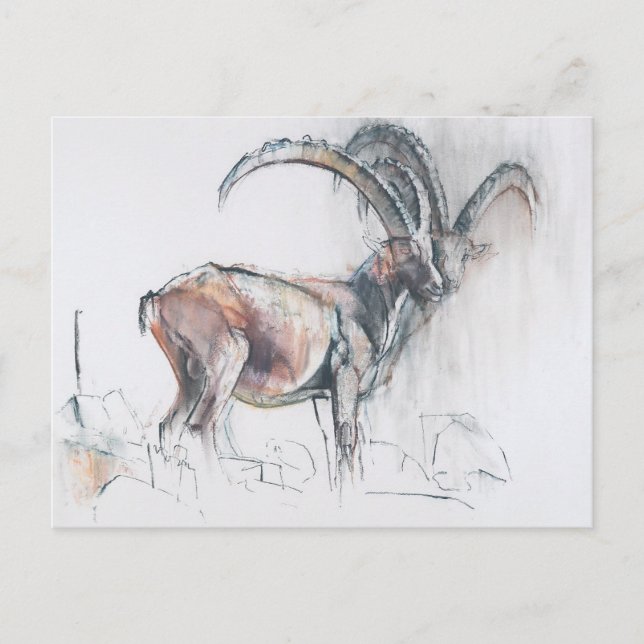 Postal Col di Vermianaz (Anverso)