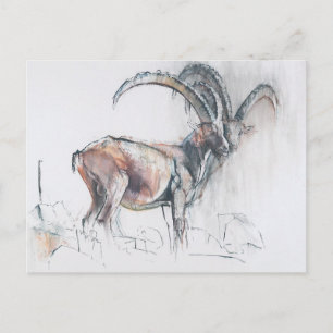 Postal Col di Vermianaz