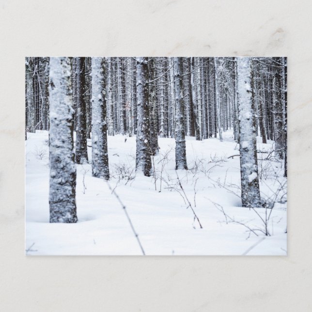 POSTAL COL DU MOLLENDRUZ, MONT-LA-VILLE, SUIZA (Anverso)