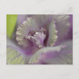 Postal Col ornamental