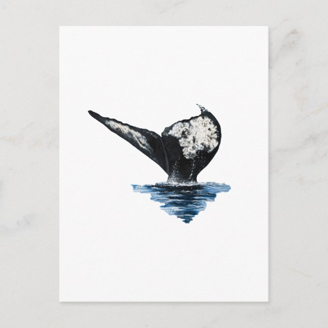 Postal Cola de Ballena (Anverso)