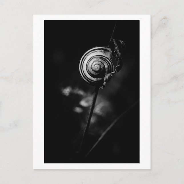 Postal cola de caracol (Anverso)