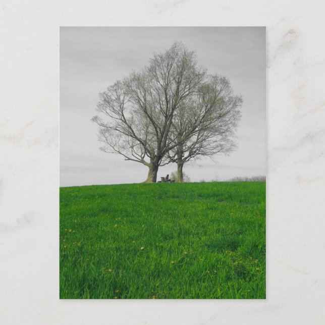 Postal colada (Anverso)