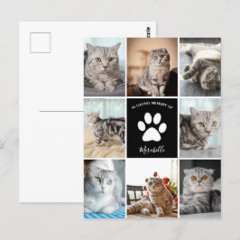 Postal Colage de Fotos Personalizadas en Memoria de Gatos