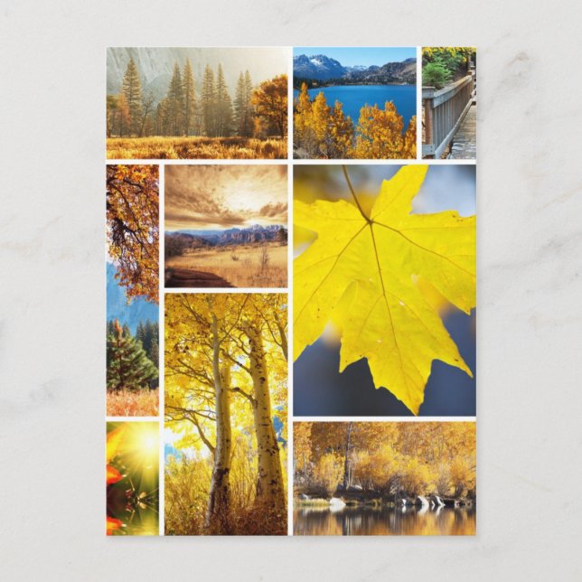 Postal Colapso de otoño (Anverso)