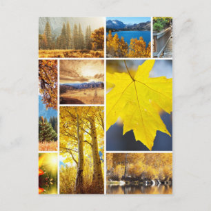 Postal Colapso de otoño