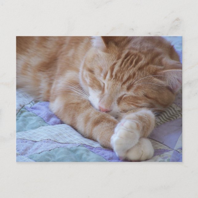 Postal Cole (Anverso)