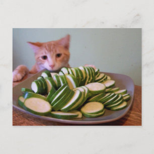 Postal Cole en acción