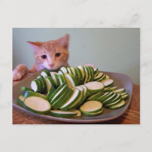 Postal Cole en acción (Anverso)