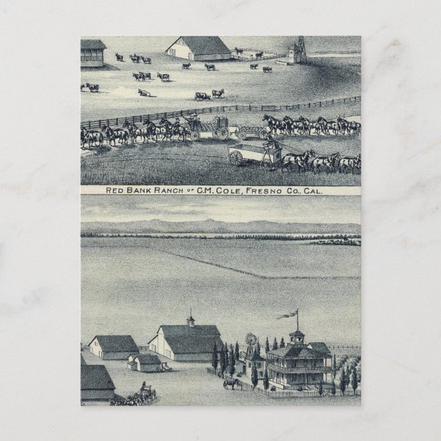 Postal Cole Ranches (Anverso)