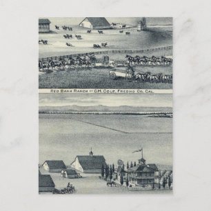 Postal Cole Ranches