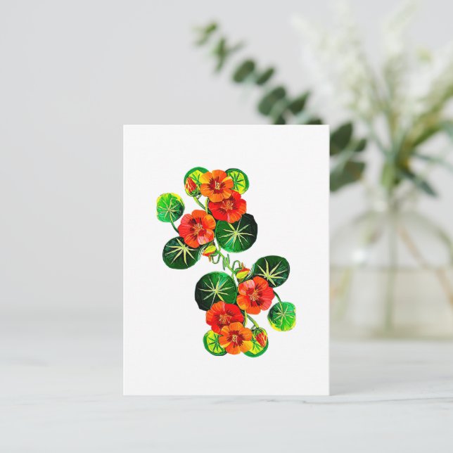 Postal coleção Flores do Brasil capuchinha,  (Anverso de pie)