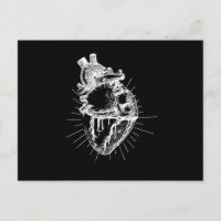 Colección Anatómica Corazón Blanco y Negro