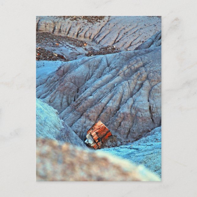 Postal Colección "Broken Wood in Blue Canyon" (Anverso)