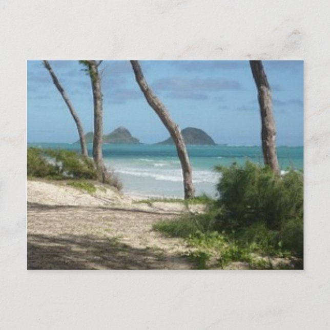 POSTAL COLECCIÓN DE ALOHA DE HAWAII (Anverso)